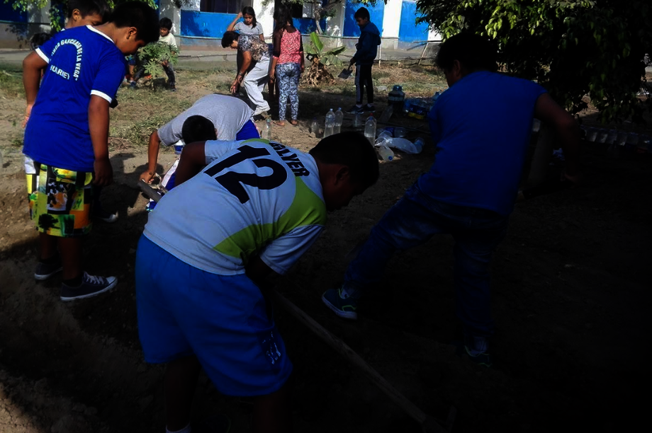 Community Horticulture for Food Security in Peru