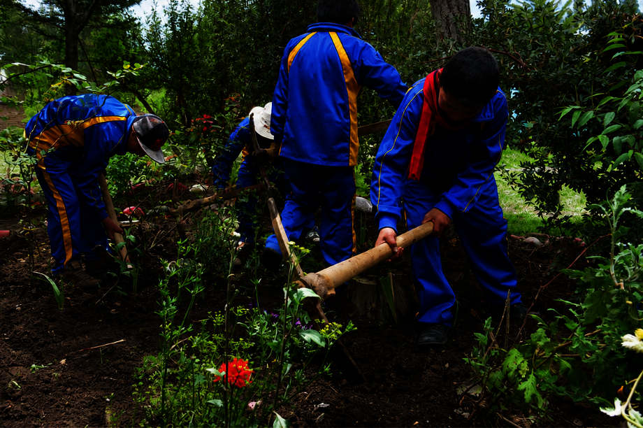 Community Horticulture for Food Security in Peru
