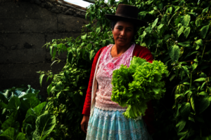 Community Horticulture for Food Security in Peru