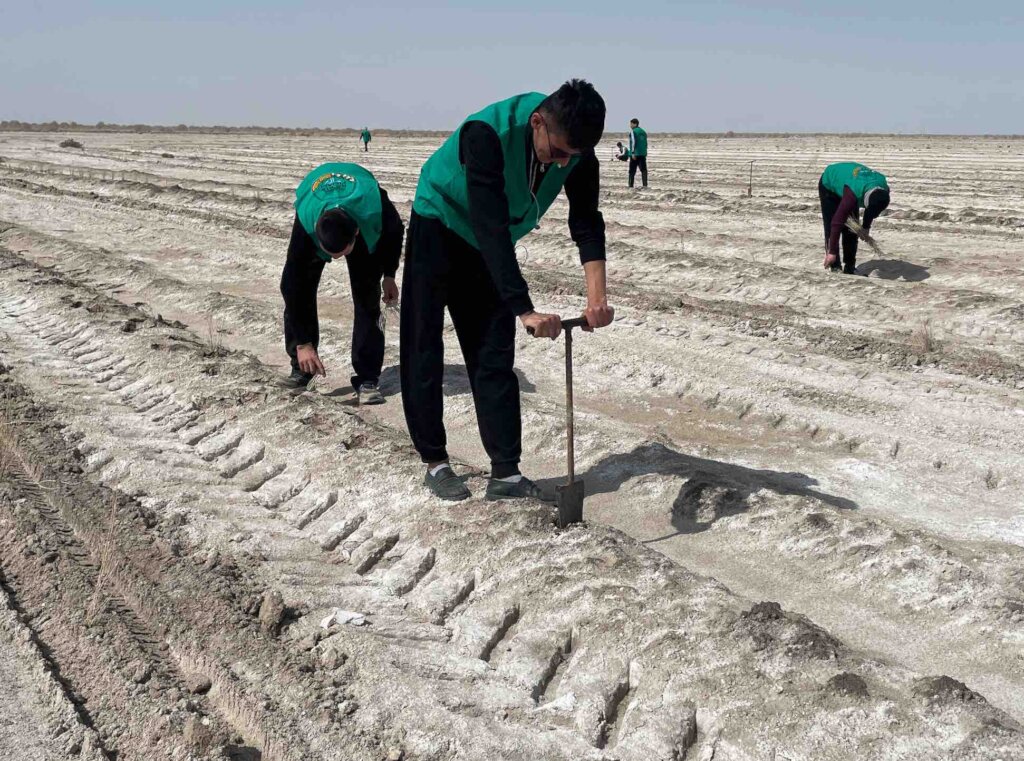 Mitigate storms,improve incomes in Aral Sea region