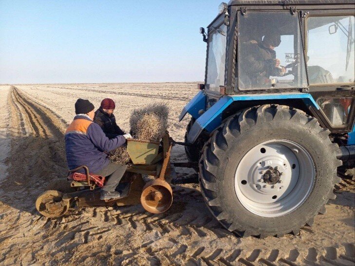 Mitigate storms,improve incomes in Aral Sea region