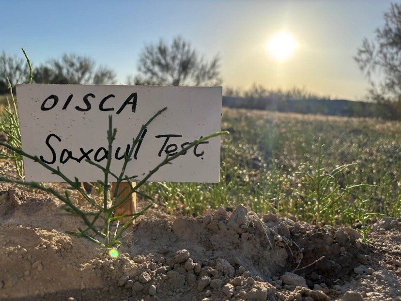 Mitigate storms,improve incomes in Aral Sea region