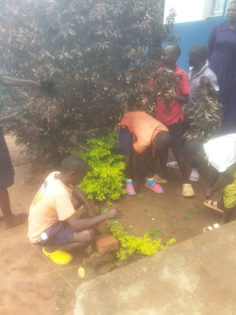 Green eyes: Help 1000 Ugandan students plant trees