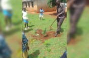 Green eyes: Help 1000 Ugandan students plant trees