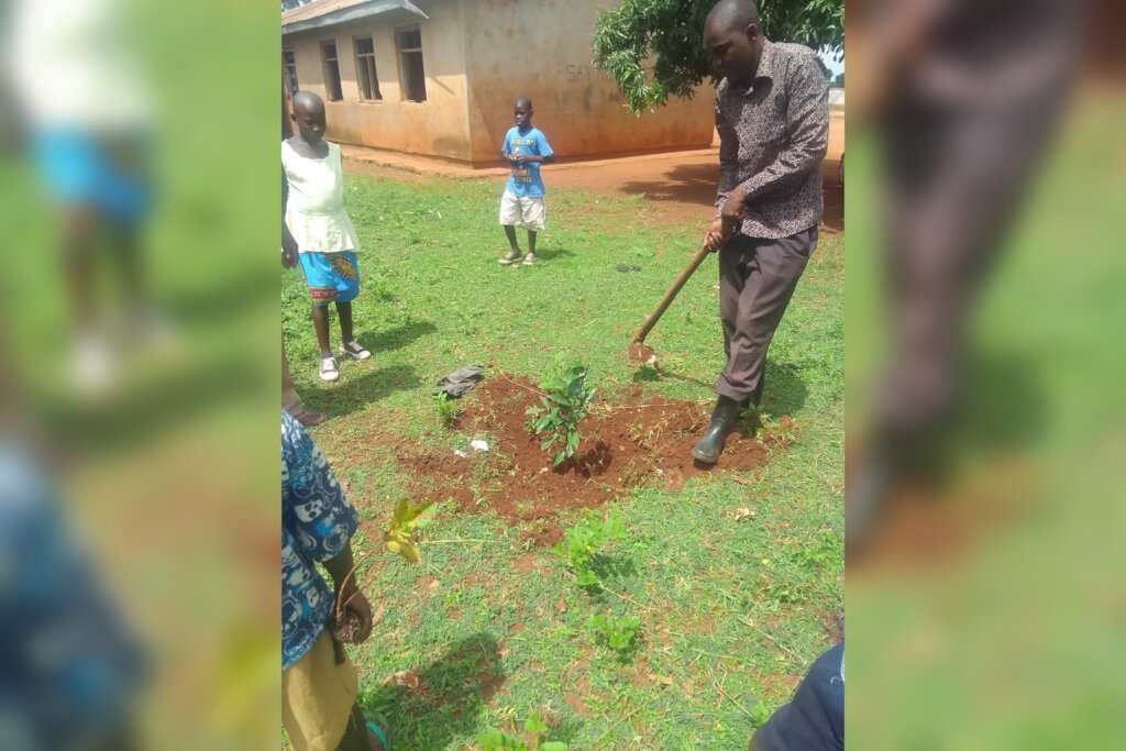Green eyes: Help 1000 Ugandan students plant trees