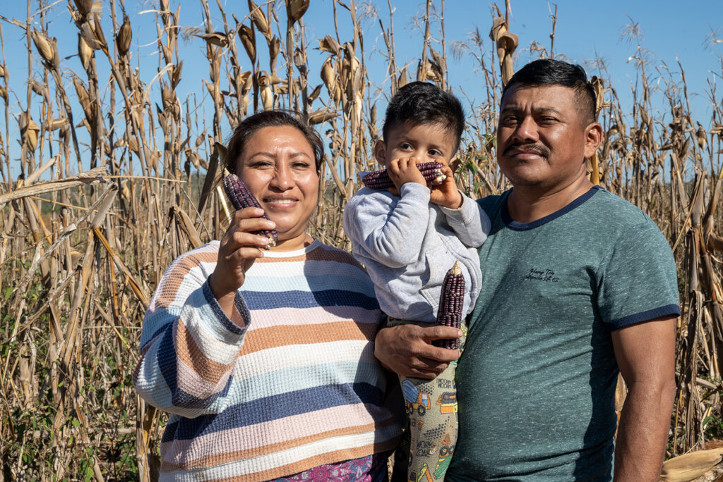 Help Mayan Farmers Rescue Their Native Corn