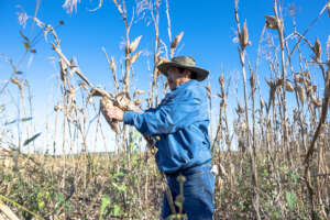 Mayan farmer in Kanki, Campeche