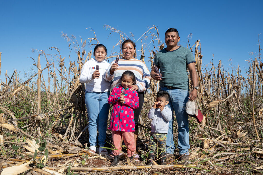 Help Mayan Farmers Rescue Their Native Corn