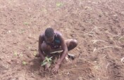 Restore Pader Land & Livelihoods.