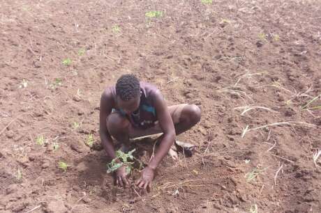 Restore Pader Land & Livelihoods.