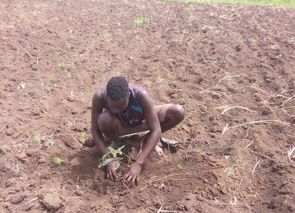 Restore Pader Land & Livelihoods.