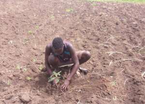 Restore Pader Land & Livelihoods.
