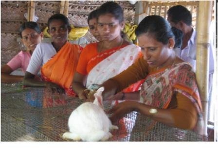 Assist  saltworker mainstream in Tamilnadu India