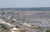 Assist  saltworker mainstream in Tamilnadu India 