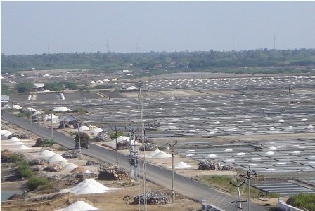 Assist  saltworker mainstream in Tamilnadu India