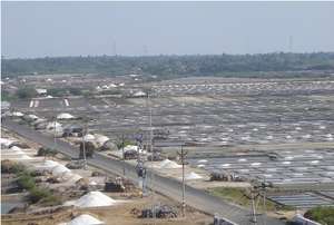 Assist  saltworker mainstream in Tamilnadu India