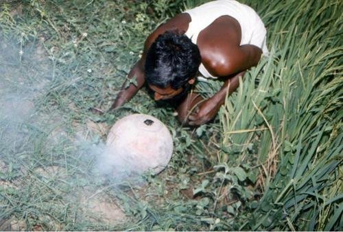 Integrated Development of Poor Tribal rat catchers