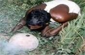 Integrated Development of Poor Tribal rat catchers