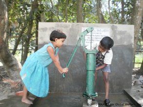When the well is dry, we know the worth of water.