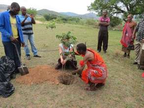 Tree planting at graduation