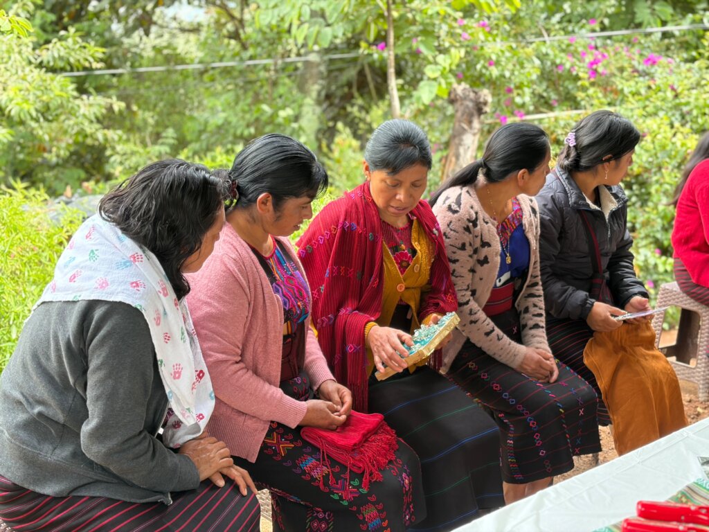 Help 800 Guatemalan women facing violence at home