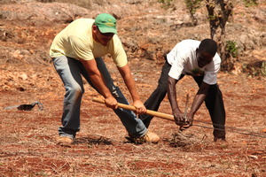 Land Prep