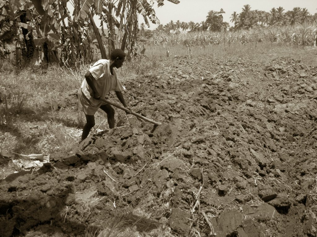 The Love & Haiti Project: Educate.Rebuild.Sustain!