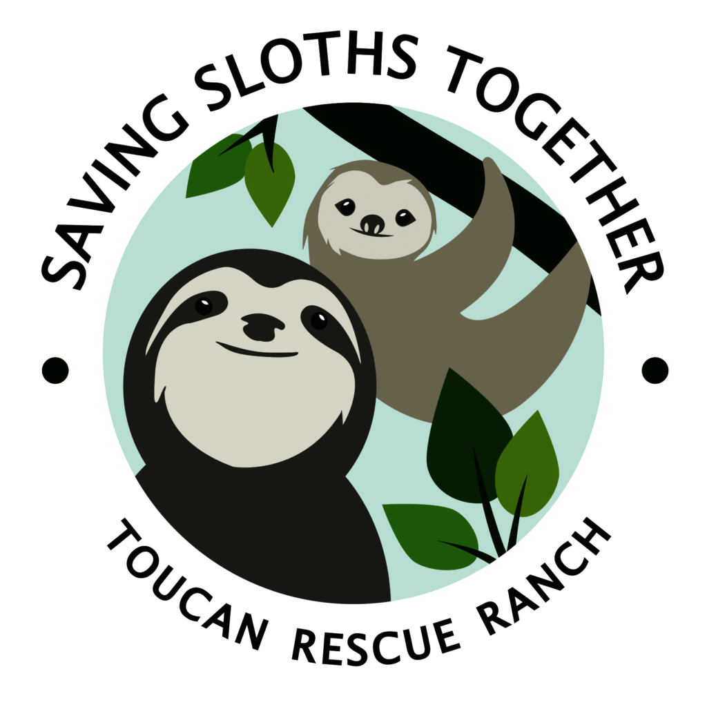 Saving Sloths Together