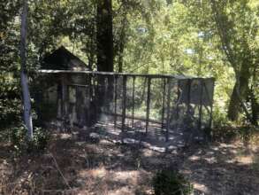 Aviary in which rodents had attacked the parakeets