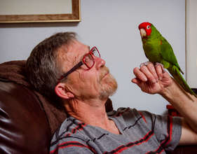 A rescued conure with his guardian