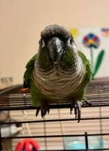 Ollin - here's looking at YOU!