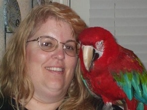 Rico, a greenwing macaw in hospice care