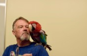 Rescue Unwanted and Abandoned Companion Birds