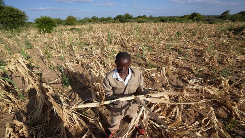 Stop Crop Spoilage & Feed 200 Families in Uganda