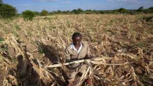 Severe Crop Spoilage Challenge