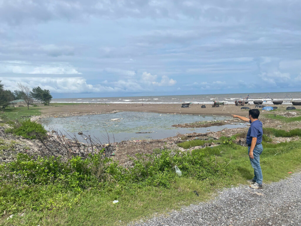 Restore coastal protection forests in Ninh Binh