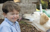 Turning Rescued Dogs Into Heroes