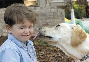 Turning Rescued Dogs Into Heroes
