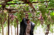 Solar Irrigation & Resilient Farming for 150 Famil