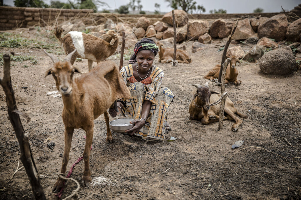 The Emergency aid for vulnerable