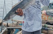 Climate-Smart Green Fishing