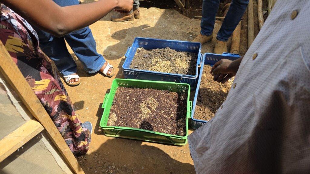 Green Livelihoods for Women and Youth in Uganda
