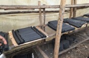 Green Livelihoods for Women and Youth in Uganda