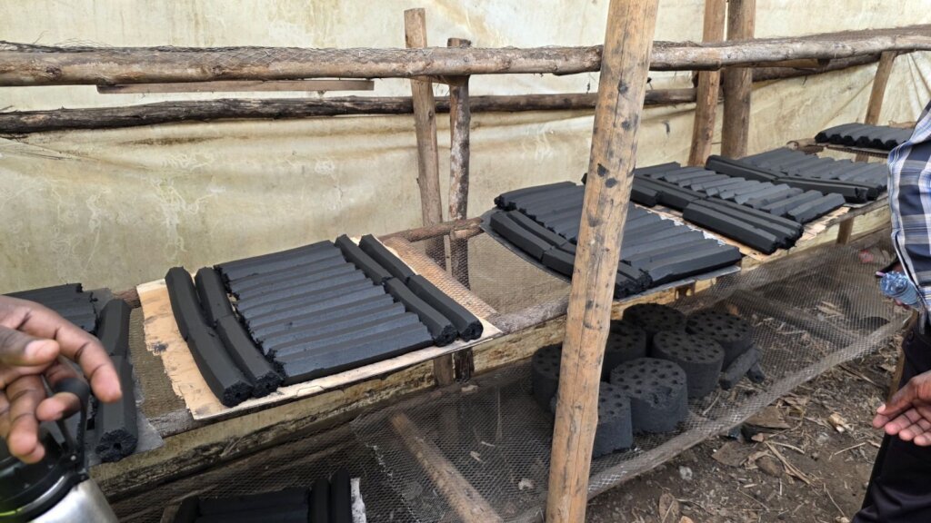 Green Livelihoods for Women and Youth in Uganda