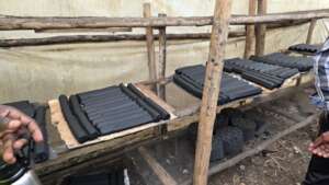 Green Livelihoods for Women and Youth in Uganda