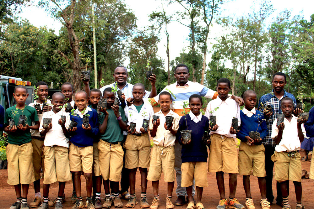 Replanting the African Blackwood Tree in Tanzania