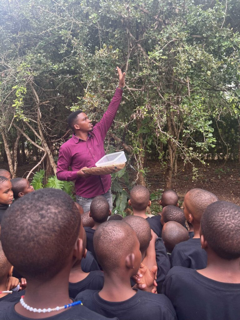 Replanting the African Blackwood Tree in Tanzania