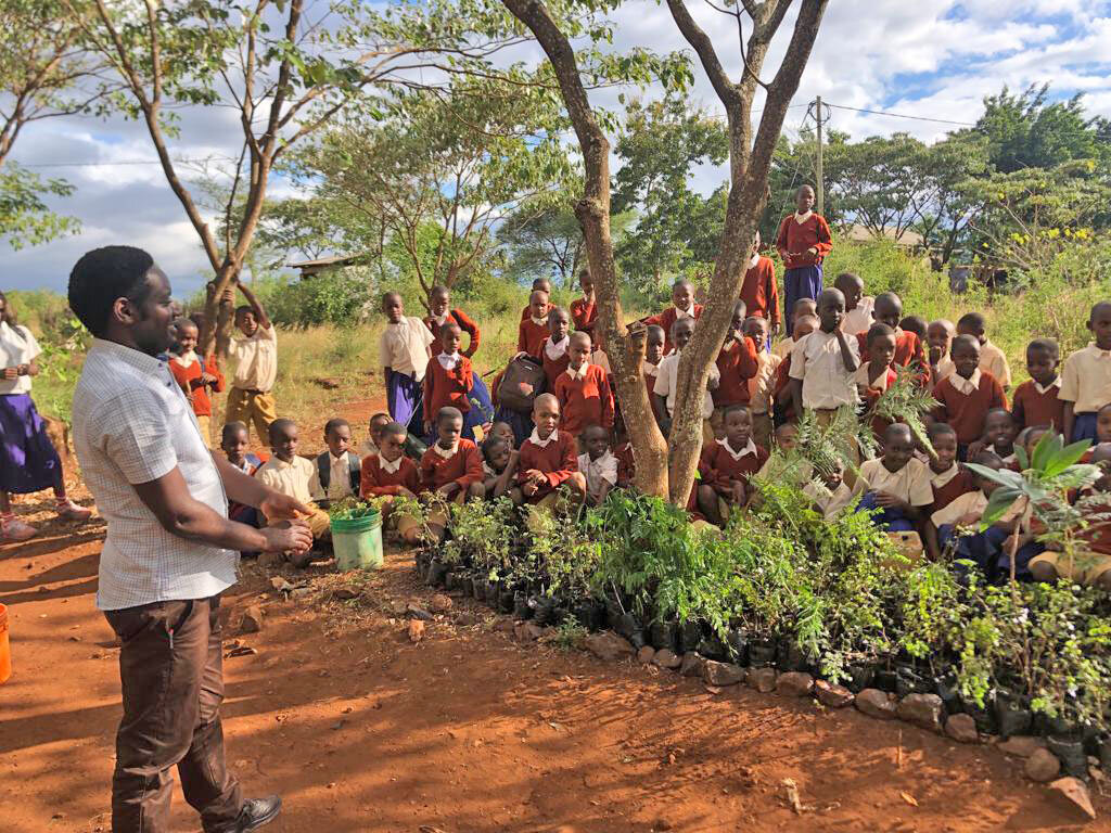 Replanting the African Blackwood Tree in Tanzania