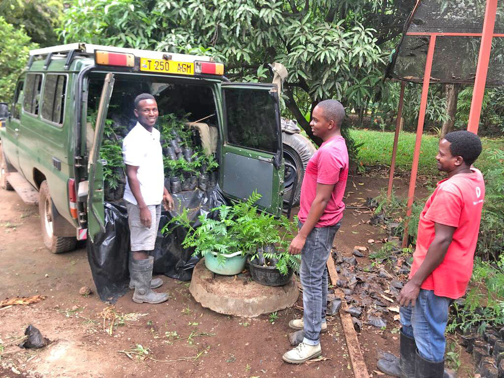 Replanting the African Blackwood Tree in Tanzania