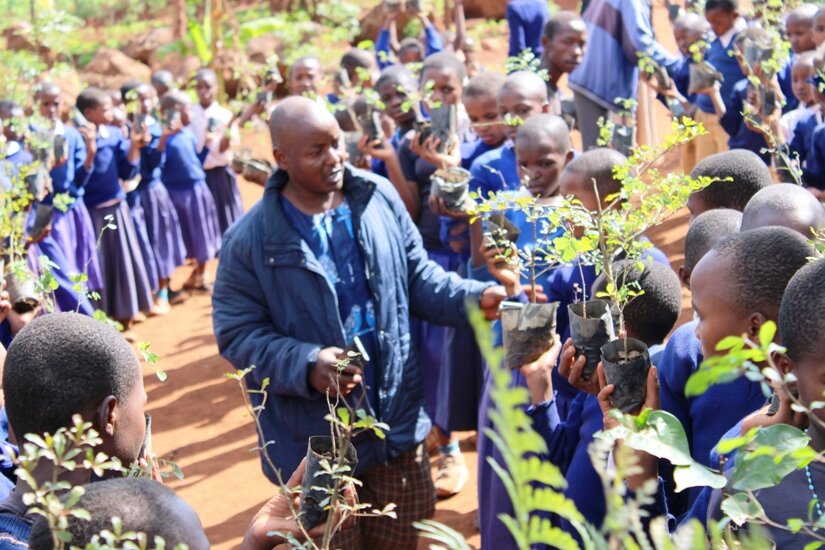 Replanting the African Blackwood Tree in Tanzania